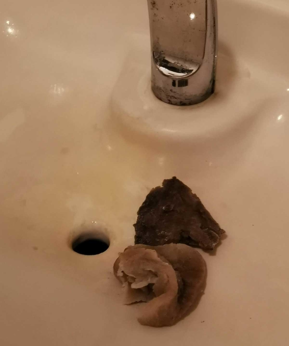 f:id:takupan2020:20201112180606j:plain