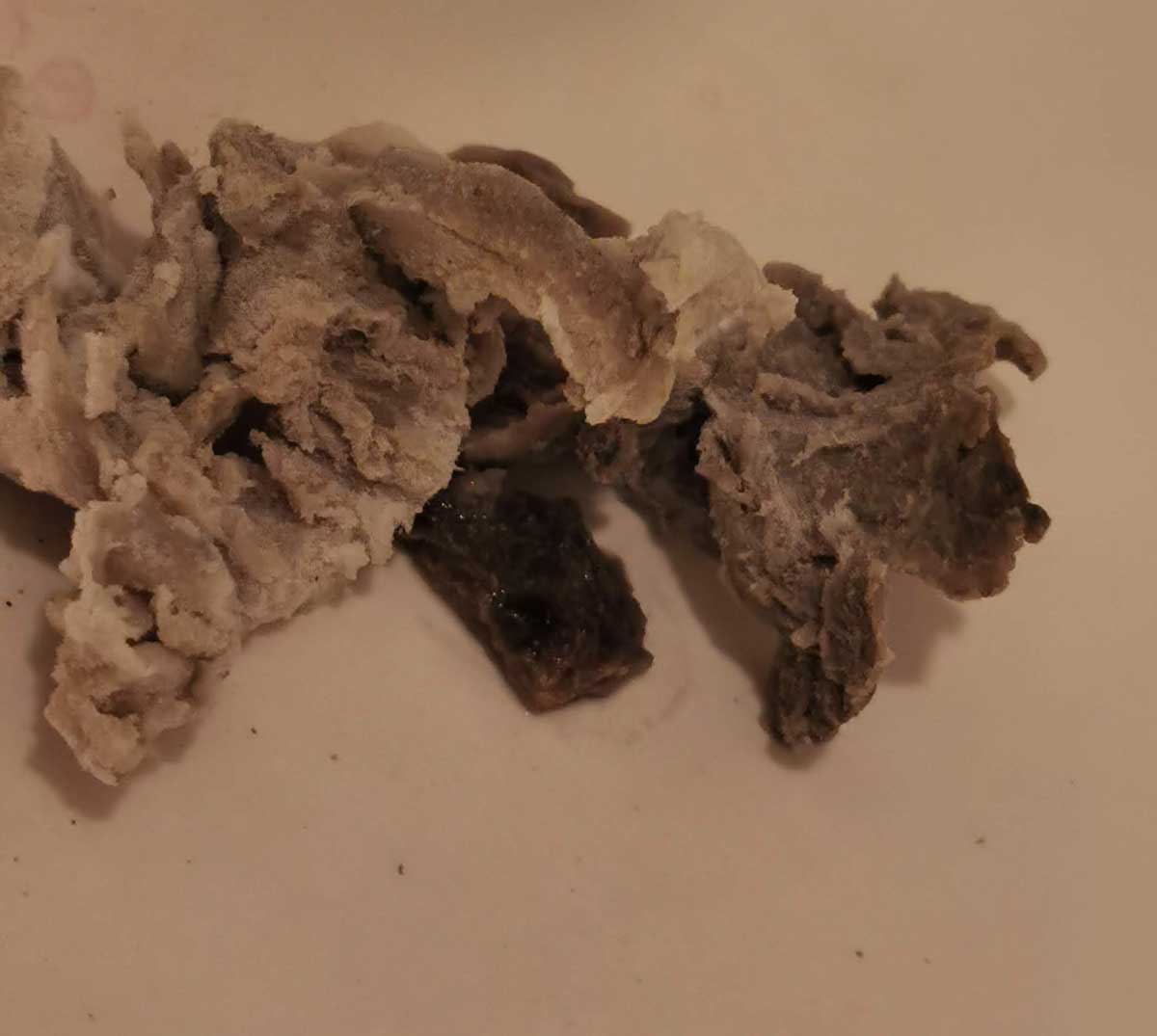 f:id:takupan2020:20201112180714j:plain