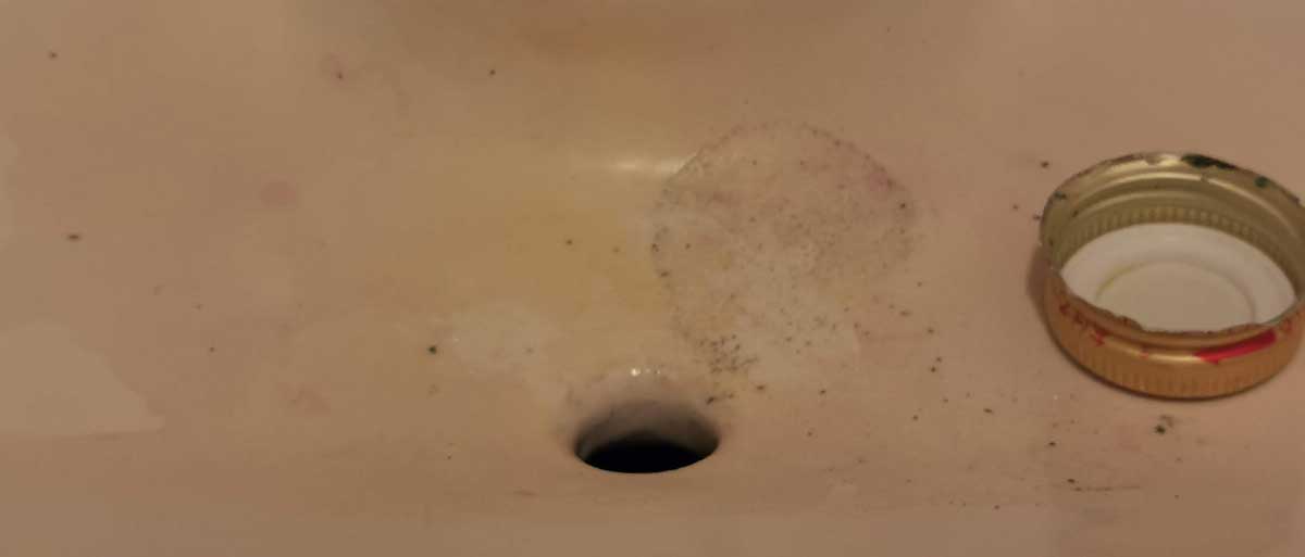 f:id:takupan2020:20201112181456j:plain