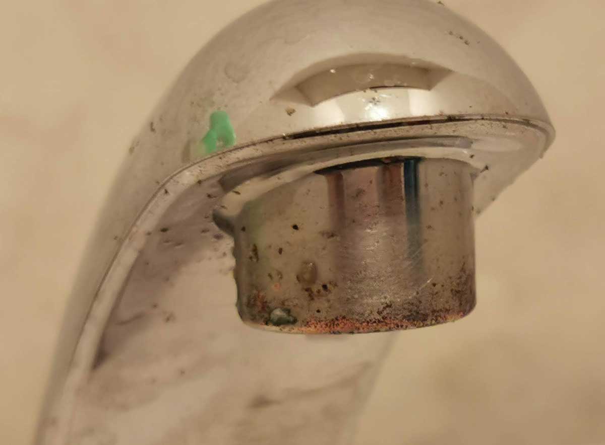 f:id:takupan2020:20201113153207j:plain