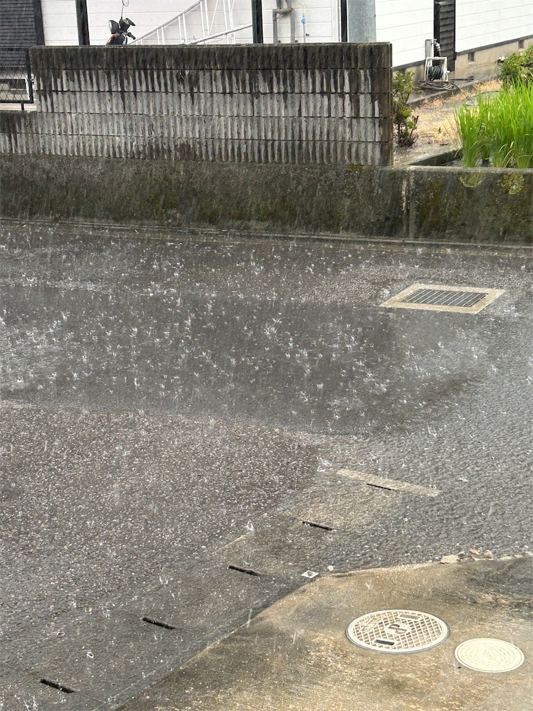 夕立来たる - しあわせ、たくさん!