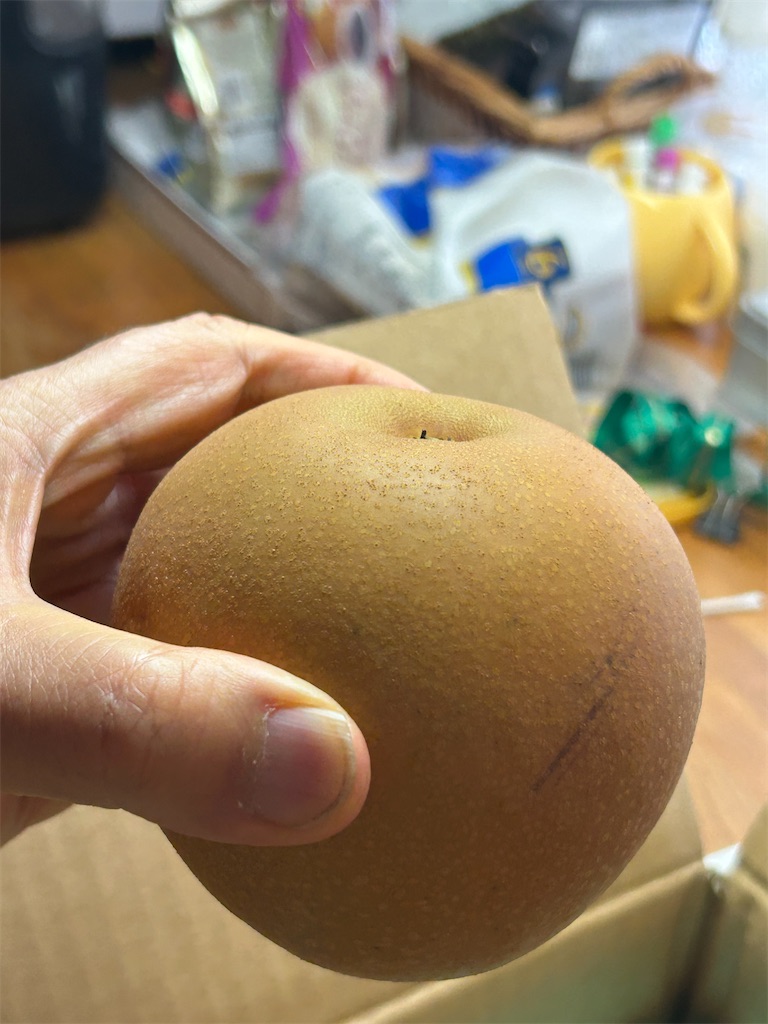 f:id:takusan00:20250921144614j:image