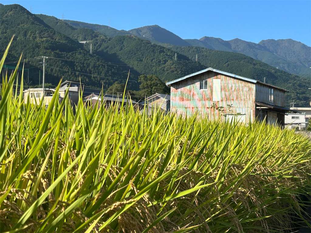 f:id:takusan00:20251010081532j:image f:id:takusan00:20251010081532j:image