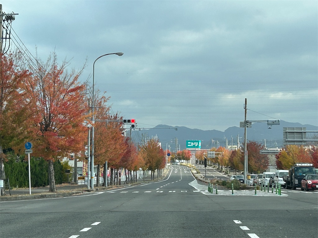 f:id:takusan00:20251129102646j:image