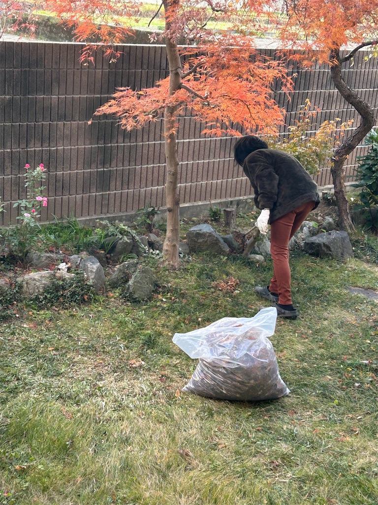 f:id:takusan00:20251207075734j:image