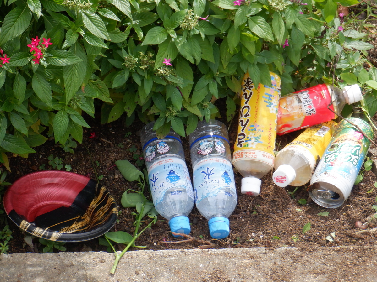 f:id:takushikodomo:20210811171513j:plain