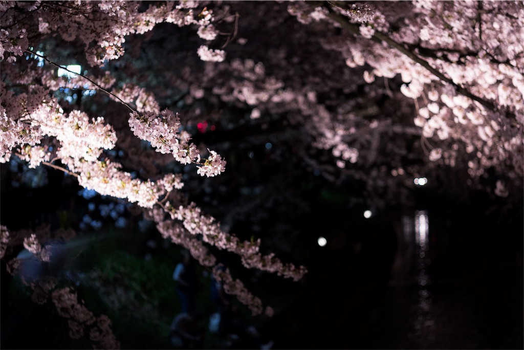 f:id:takutaku223:20170410013156j:image f:id:takutaku223:20170410013156j:image