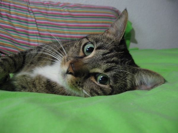 f:id:takuteto:20120106140329j:plain f:id:takuteto:20120106140329j:plain