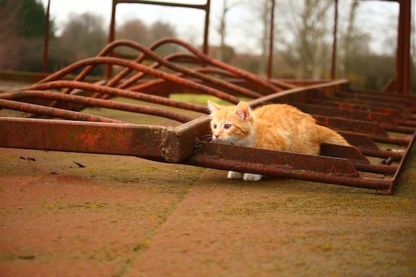 f:id:takuteto:20151220130930j:plain f:id:takuteto:20151220130930j:plain