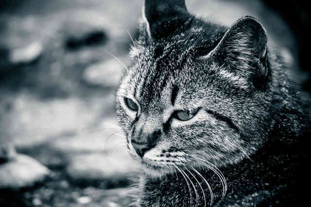 f:id:takuteto:20160812105320j:plain f:id:takuteto:20160812105320j:plain