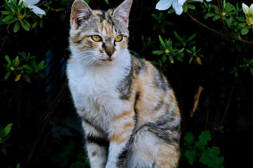 f:id:takuteto:20160823093538j:plain