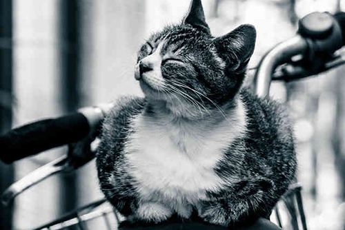 f:id:takuteto:20160823093614j:plain