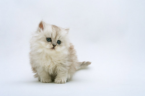 f:id:takuteto:20161113171738j:plain