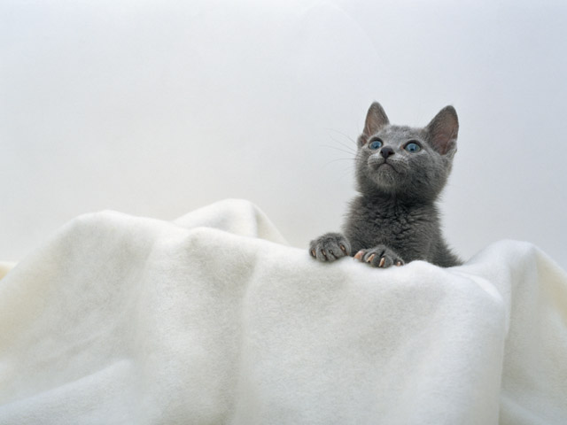 f:id:takuteto:20161206100622j:plain