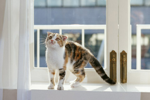 f:id:takuteto:20161212204923j:plain f:id:takuteto:20161212204923j:plain