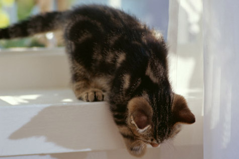 f:id:takuteto:20161212204954j:plain