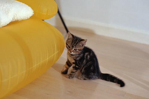 f:id:takuteto:20161223193145j:plain f:id:takuteto:20161223193145j:plain