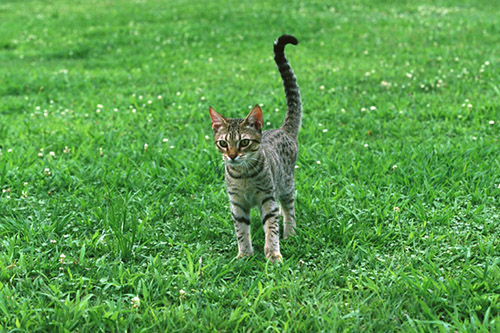 f:id:takuteto:20161228210230j:plain