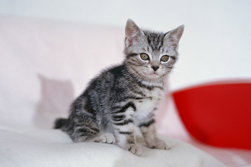 f:id:takuteto:20161228210406j:plain