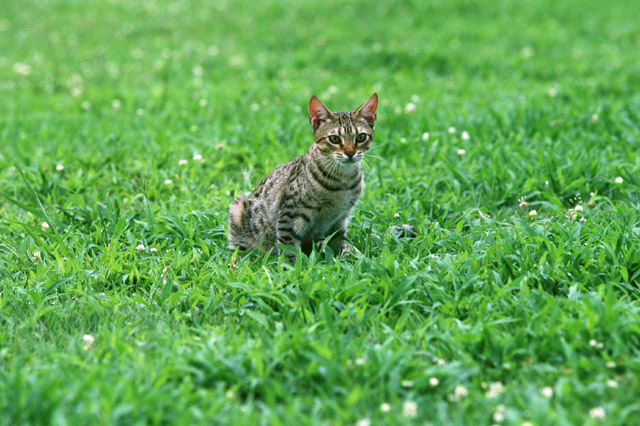 f:id:takuteto:20170106220907j:plain