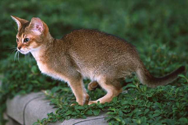 f:id:takuteto:20170106220935j:plain f:id:takuteto:20170106220935j:plain