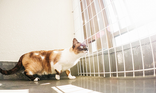 f:id:takuteto:20170120160957j:plain f:id:takuteto:20170120160957j:plain