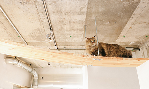 f:id:takuteto:20170120161027j:plain