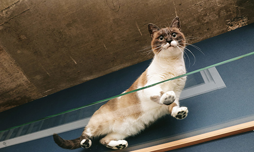 f:id:takuteto:20170120161043j:plain