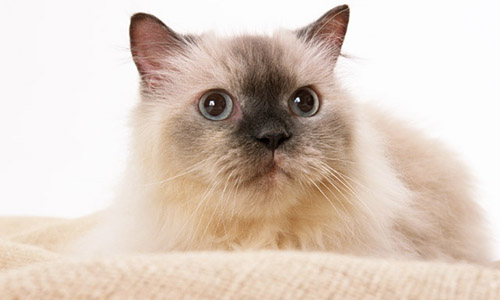 f:id:takuteto:20170206111732j:plain