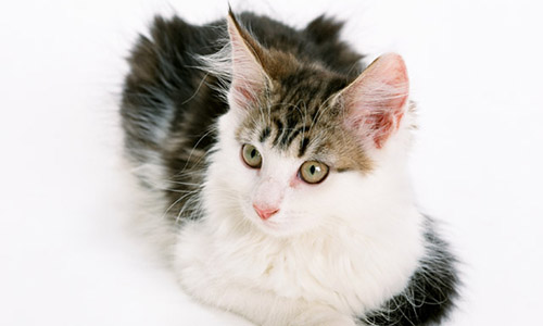 f:id:takuteto:20170206111858j:plain f:id:takuteto:20170206111858j:plain