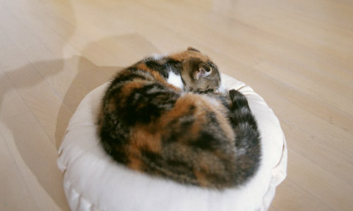 f:id:takuteto:20170206112006j:plain f:id:takuteto:20170206112006j:plain