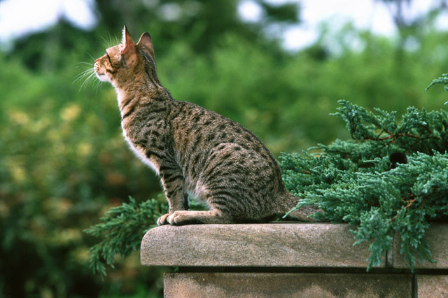 f:id:takuteto:20170326211010j:plain