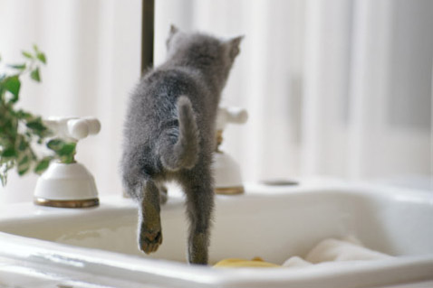 f:id:takuteto:20170409232923j:plain f:id:takuteto:20170409232923j:plain