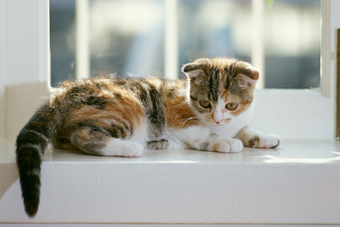 f:id:takuteto:20170505095853j:plain f:id:takuteto:20170505095853j:plain