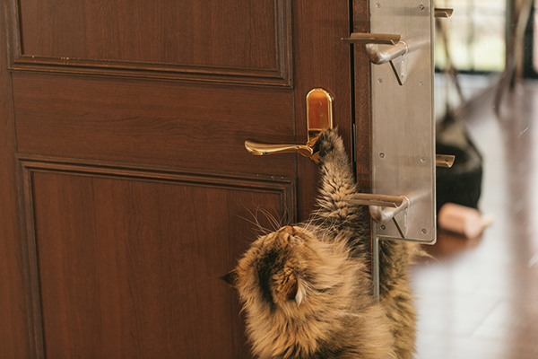 f:id:takuteto:20170518120051j:plain f:id:takuteto:20170518120051j:plain