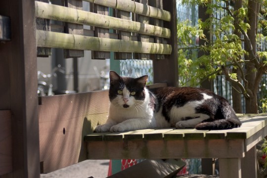 f:id:takuteto:20170531145021j:plain