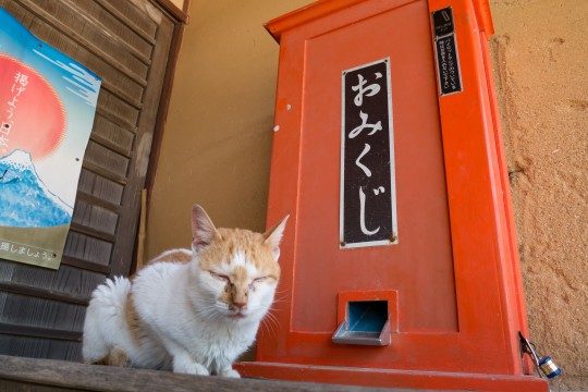 f:id:takuteto:20170531145142j:plain f:id:takuteto:20170531145142j:plain