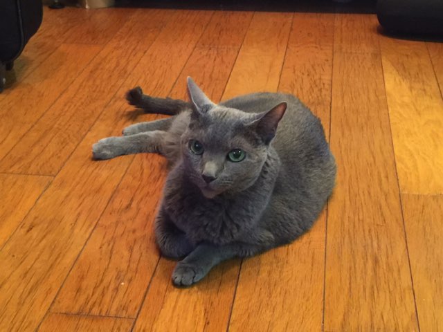 f:id:takuteto:20170823145938j:plain