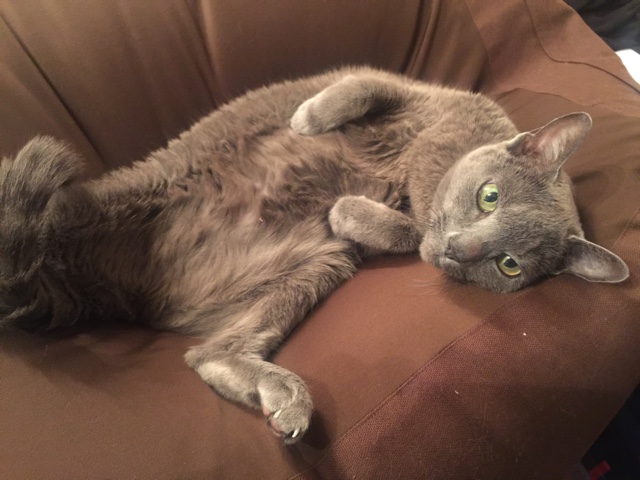 f:id:takuteto:20170921192500j:plain f:id:takuteto:20170921192500j:plain