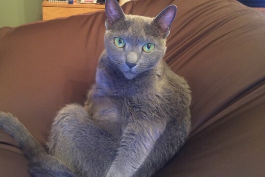 f:id:takuteto:20170921192952j:plain