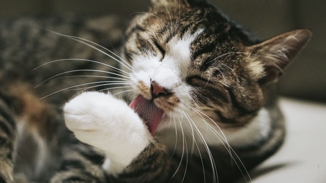 f:id:takuteto:20171106200156j:plain f:id:takuteto:20171106200156j:plain