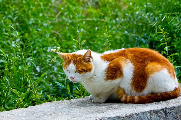 f:id:takuteto:20171216232056j:plain f:id:takuteto:20171216232056j:plain