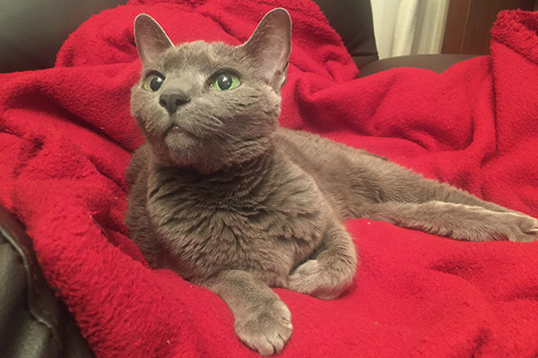 f:id:takuteto:20171230213234j:plain f:id:takuteto:20171230213234j:plain