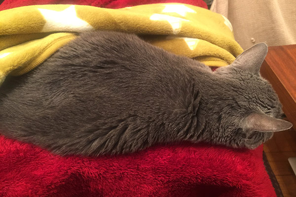 f:id:takuteto:20180103171924j:plain f:id:takuteto:20180103171924j:plain