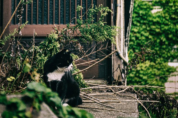 f:id:takuteto:20180114191540j:plain f:id:takuteto:20180114191540j:plain