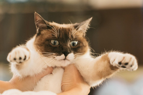 f:id:takuteto:20180114191710j:plain f:id:takuteto:20180114191710j:plain