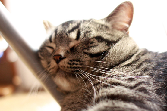 f:id:takuteto:20180209152349j:plain f:id:takuteto:20180209152349j:plain