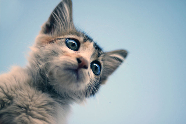 f:id:takuteto:20180209152419j:plain