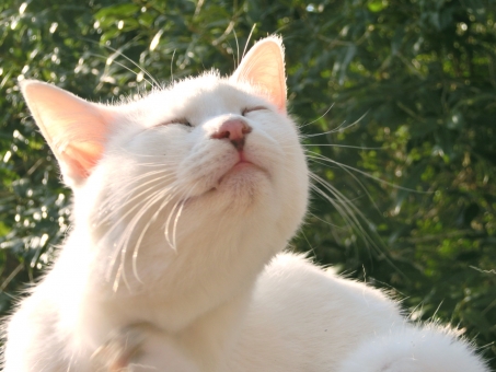 f:id:takuteto:20180209152533j:plain f:id:takuteto:20180209152533j:plain