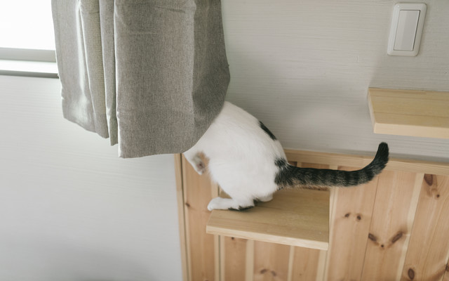 f:id:takuteto:20180409232205j:plain